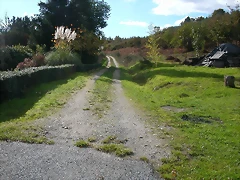 DSCN6423 DSCN6423
