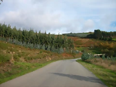 DSCN6230