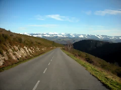 DSCN2531 DSCN2531