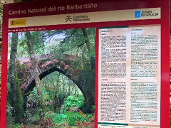 25-IMG_4161