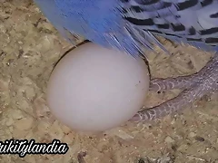 FB_IMG_1538555986368 FB_IMG_1538555986368