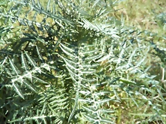 IMG_20170218_134754