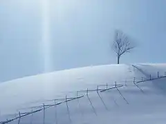 Snow_Scenery_06
