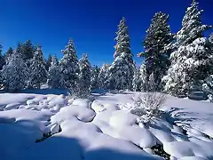 Snow_Scenery_02