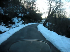 DSCN2564 DSCN2564
