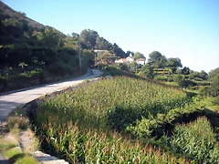 DSCN7934 DSCN7934