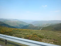 DSCN8952 DSCN8952