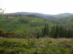 reglaje 045 reglaje 045