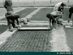 MU-0460 Labores de siembra en el vivero forestal de Cartagena. Afirmado del estiercol en los hoyos 1948