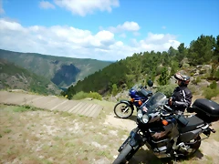 DSCN7781 DSCN7781