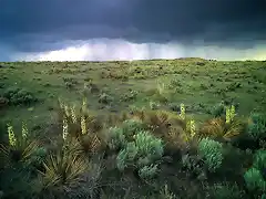 JLM-Colorado-Comanche National Grasslands