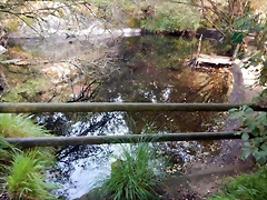 DSCN8439