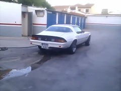 IMAG0522 IMAG0522