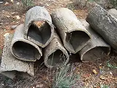 Corchos abandonados.