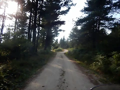 DSCN4441 DSCN4441