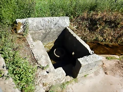 DSCN2355 DSCN2355