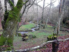 DSCN7324