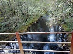 DSCN8893 DSCN8893