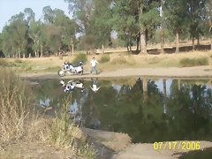 Imagen 088
