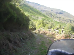 IMG_0462 IMG_0462