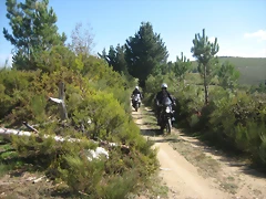IMG_0512 IMG_0512