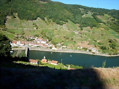 DSCN4216 DSCN4216