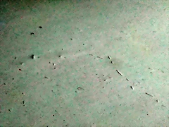 _20190928_232734