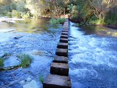 DSCN9744 DSCN9744