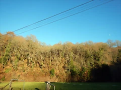 DSCN1169 DSCN1169