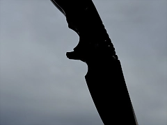 Hinderer7p Hinderer7p