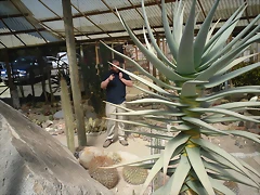 SAM_0384 SAM_0384
