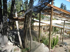 SAM_0368 SAM_0368