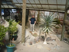 SAM_0382 SAM_0382