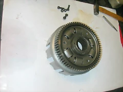 DSCN4958 DSCN4958