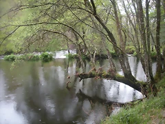 DSCN4172 DSCN4172