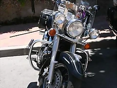 IMG_5001_389x583 IMG_5001_389x583