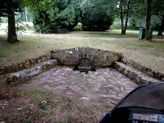 DSCN4341