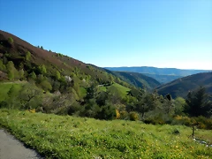 DSCN0137 DSCN0137