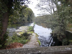 DSCN9479 DSCN9479