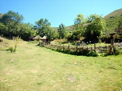 DSCN8387 DSCN8387