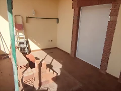 obra 3
