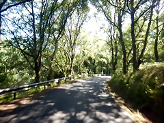 DSCN6721 DSCN6721