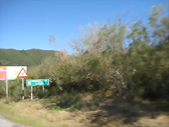 IMG_1166 IMG_1166