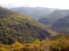 DSCN0031 DSCN0031