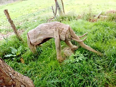 DSCN4325 DSCN4325