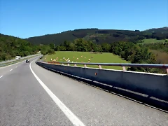 DSCN0006 DSCN0006