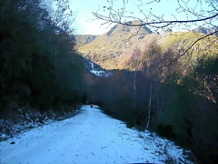DSCN6845