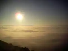Paramo Niebla