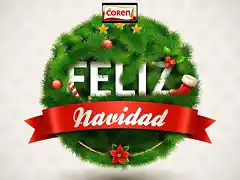 1Felicitacin-de-Navidad-2012