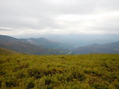 DSCN9889 DSCN9889